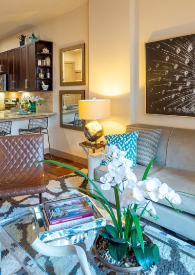 Block 334 - Houston Apartment